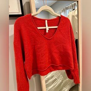 Aritzia “Group by Babaton” cashmere cropped vneck sweater